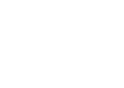 Logotipo de PASAVE
